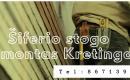 Šiferio stogo remontas Kretinga 867139234-0