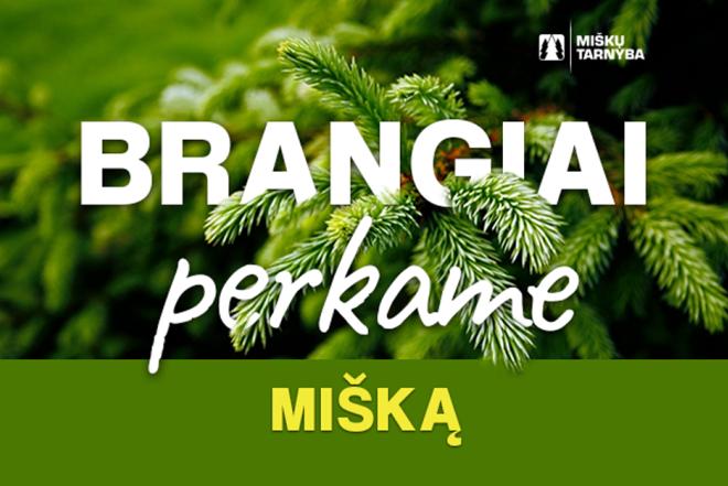 UAB "Miškų tarnyba" brangiai nupirks Jūsų mišką-0