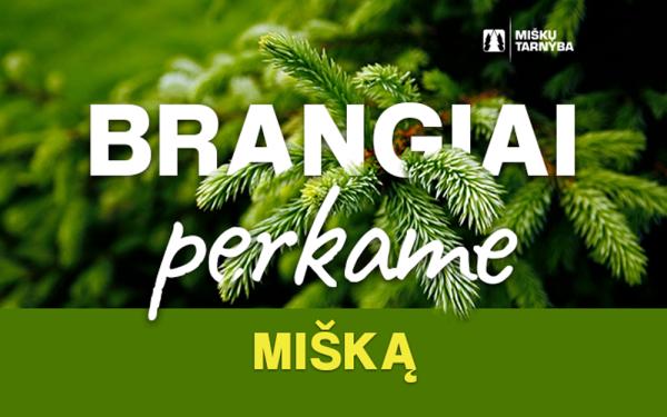 UAB "Miškų tarnyba" brangiai nupirks Jūsų mišką-0