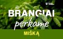UAB "Miškų tarnyba" brangiai nupirks Jūsų mišką-0
