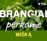 UAB "Miškų tarnyba" brangiai nupirks Jūsų mišką-0