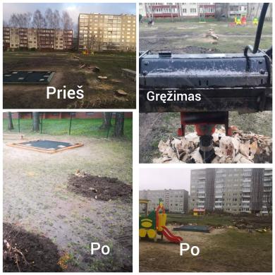 Kelmų ir krūmynų naikinimas galinga freza.-0