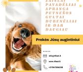4feet.lt - įvairios gyvūnų prekės-0