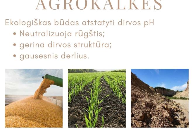 TRUPINTA KLINTIS IR AGROKALKĖS-0