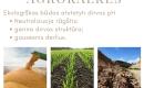 TRUPINTA KLINTIS IR AGROKALKĖS-0