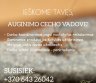Auginimo cecho vadovas-0