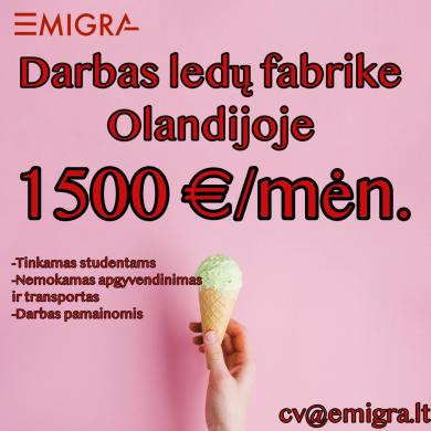 Darbas ledų fabrike (Olandija)-0
