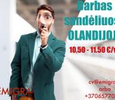 Darbas sandėliuose OLANDIJA-0