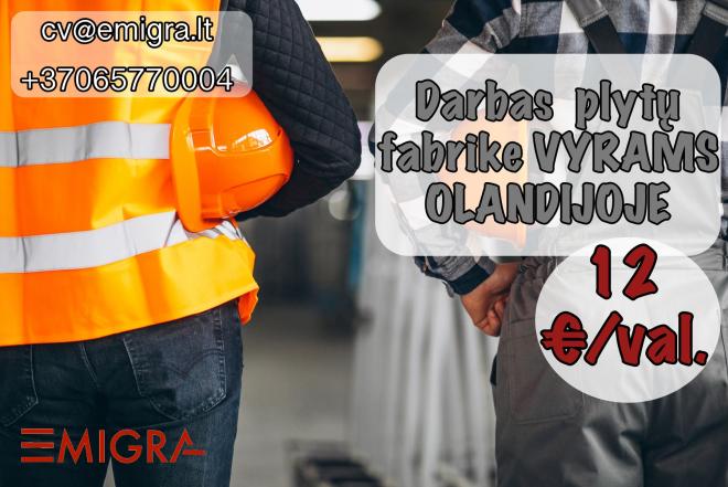 Darbas plytų fabrike OLANDIJOJE-0