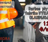 Darbas plytų fabrike OLANDIJOJE-0