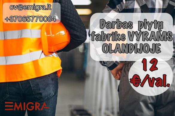 Darbas plytų fabrike OLANDIJOJE-0