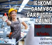 Gamybos darbuotojai Kaune-0