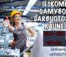 Gamybos darbuotojai Kaune-0