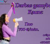 Darbas gamyboje Ž.Šančiuose-0