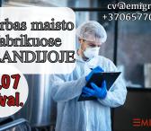 Darbas maisto fabrikuose OLANDIJOJE-0