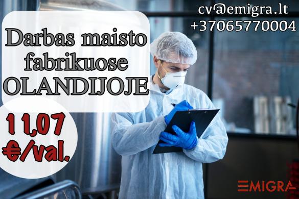 Darbas maisto fabrikuose OLANDIJOJE-0