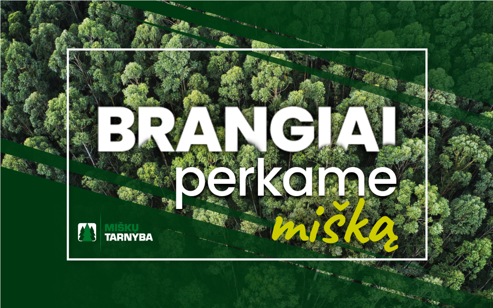 UAB "Miškų tarnyba" brangiai nupirks jūsų mišką-0