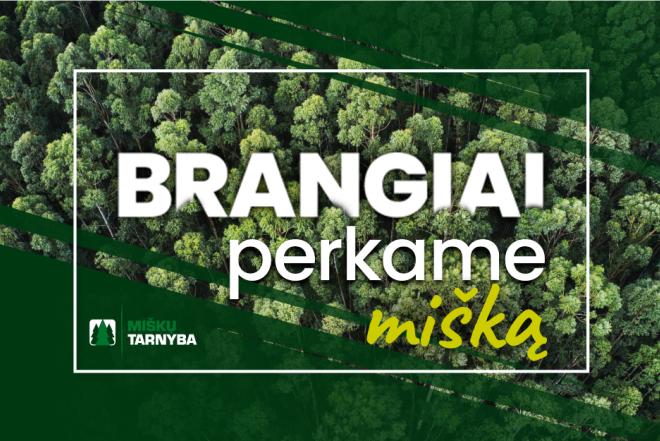 UAB "Miškų tarnyba" brangiai nupirks jūsų mišką-0