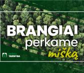 UAB "Miškų tarnyba" brangiai nupirks jūsų mišką-0