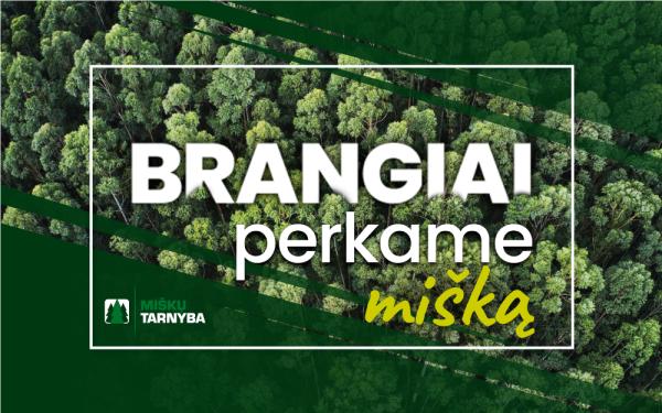 UAB "Miškų tarnyba" brangiai nupirks jūsų mišką-0