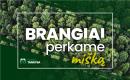 UAB "Miškų tarnyba" brangiai nupirks jūsų mišką-0