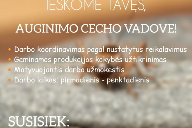 Auginimo cecho vadovas-0