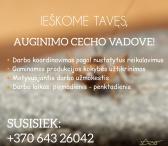 Auginimo cecho vadovas-0