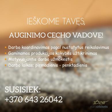 Auginimo cecho vadovas-0