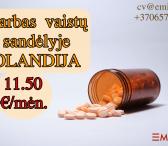 Darbas vaistų sandėlyje Olandijoje-0