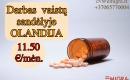 Darbas vaistų sandėlyje Olandijoje-0