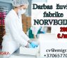 Darbas žuvies fabrike Norvegija-0