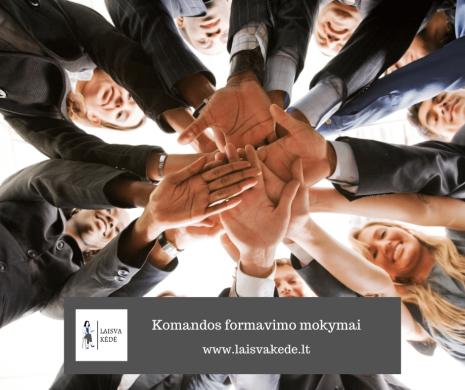 LaisvaKėdė. Komandos formavimo mokymai-0