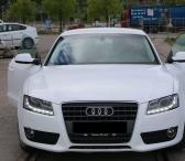 Audi-0