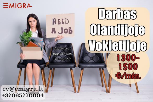 Darbas gamyboje Vokietijoje, Olandijoje-0