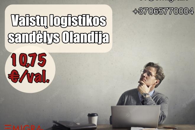 Darbas vaistų logistikos sandėlyje Olandija-0