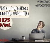 Darbas vaistų logistikos sandėlyje Olandija-0