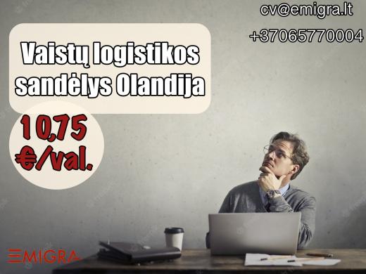 Darbas vaistų logistikos sandėlyje Olandija-0