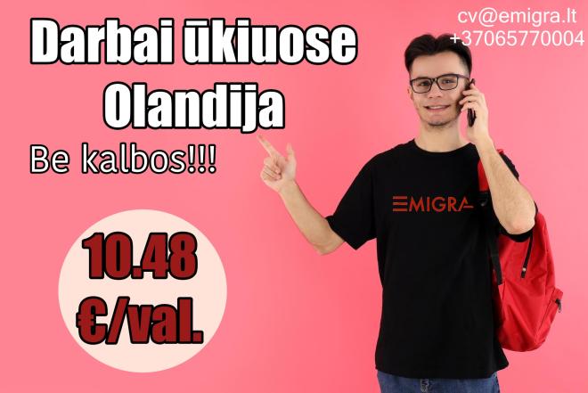 Darbas ūkiuose Olandija-0
