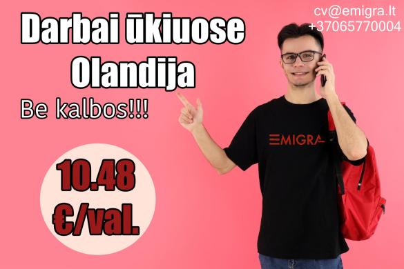 Darbas ūkiuose Olandija-0