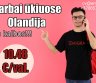 Darbas ūkiuose Olandija-0