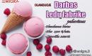 Darbas ledų fabrike Olandija-0