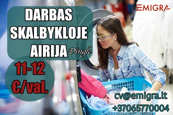Darbas skalbykloje Airijoje-0