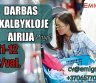 Darbas skalbykloje Airijoje-0