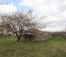 PARDUODAMAS SODAS DIEMEDŽIO SODŲ BENDRIJOJE, JANALIŠKIŲ K.-0