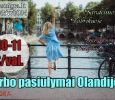 Darbas sandėliuose Olandijoje-0