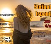 Stažuotė Ispanijoje-0