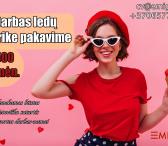 Pakavimas ledų fabrike-0