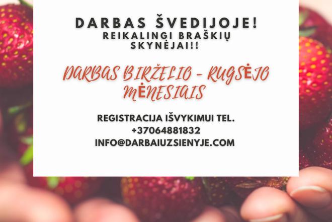 BRAŠKIŲ SKYNIMAS ŠVEDIJOJE NUO BIRŽELIO MĖN.-0