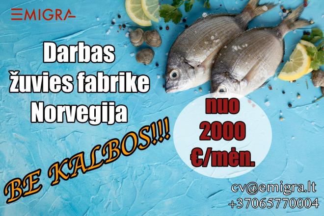 Darbas Norvegijoje fabrike-0