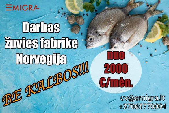 Darbas Norvegijoje fabrike-0